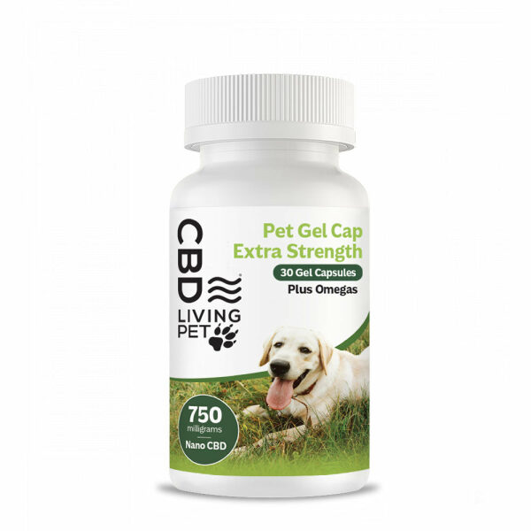 CBD DOG GEL CAPSULES